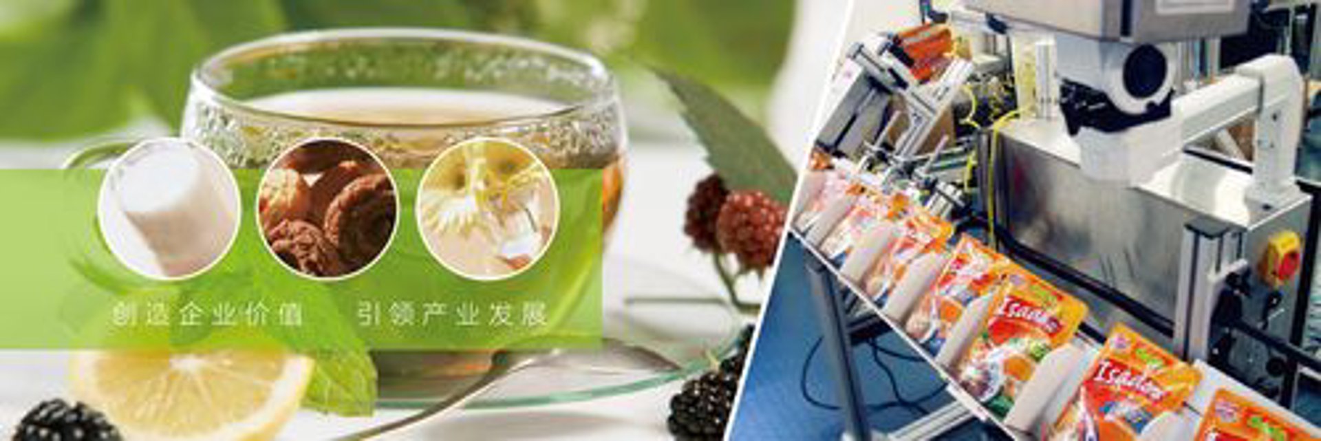 支点食品科技